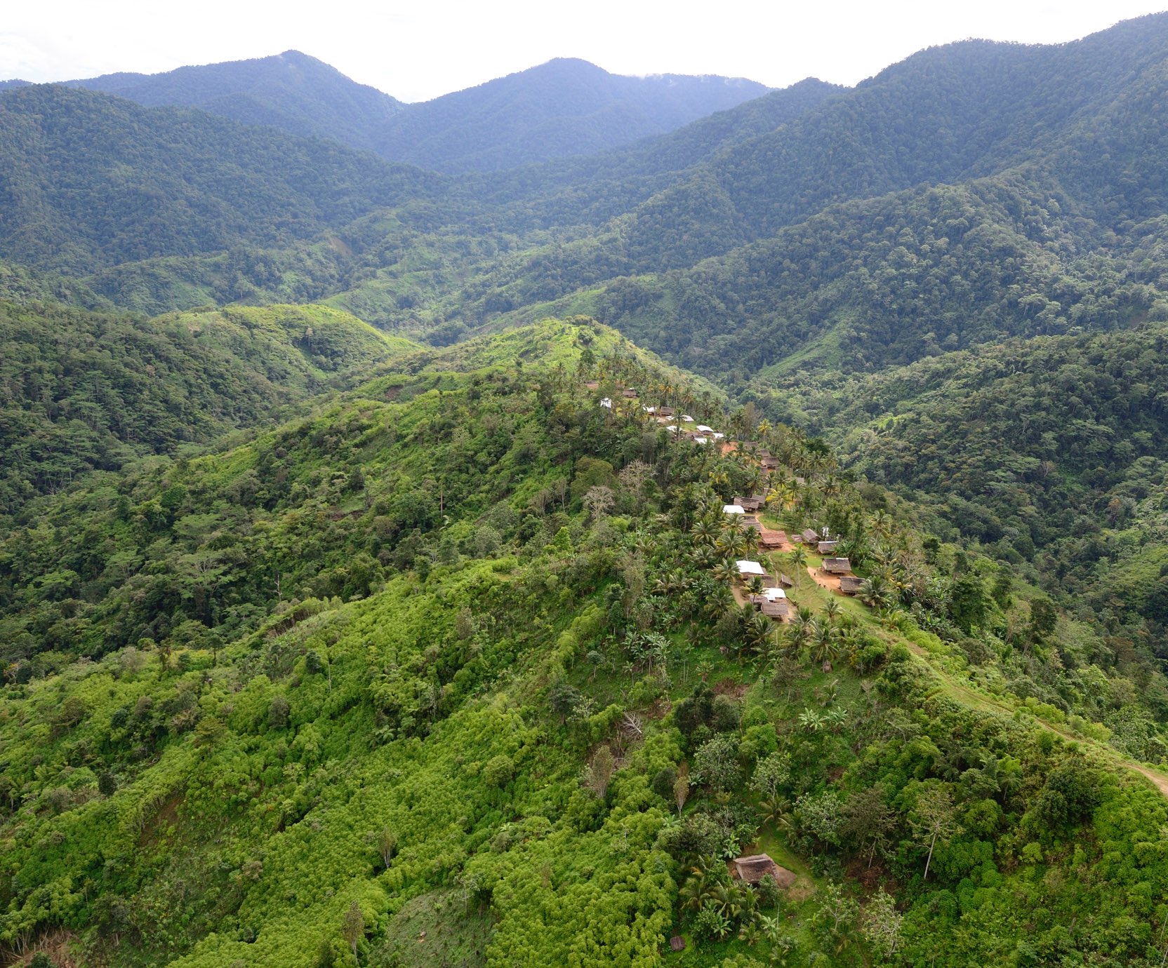 Wafi Golpu - landscape