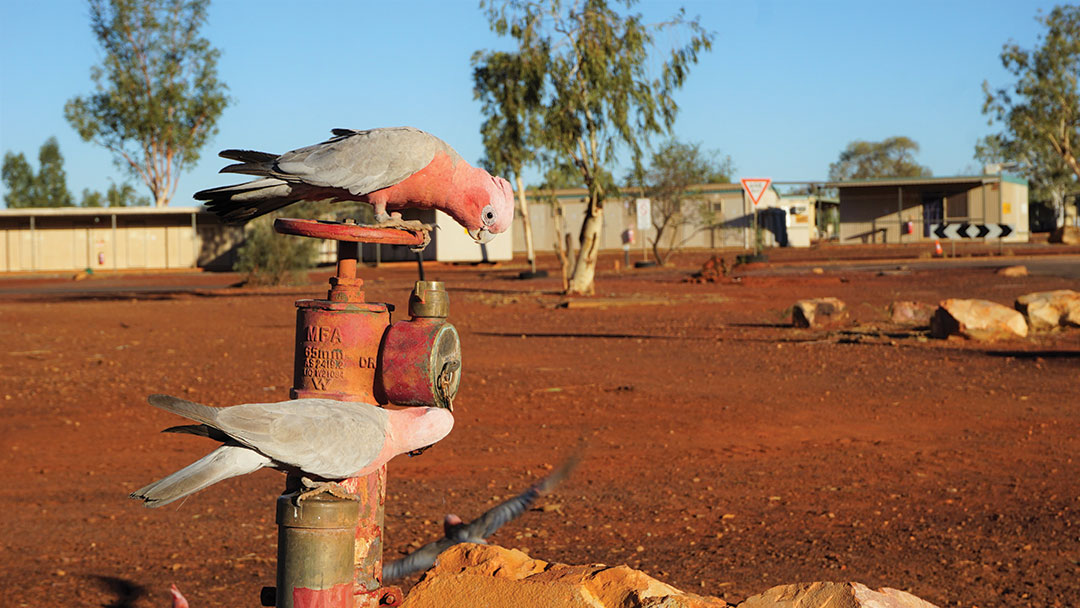 View our Sustainability Report